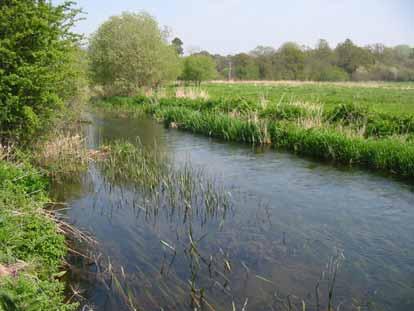 during the site visit. Further details were provided by members of the syndicate. The Gaunts fishery covers a length of some 4 km of the middle river, with the bottom of the fishery near Stanbridge.
