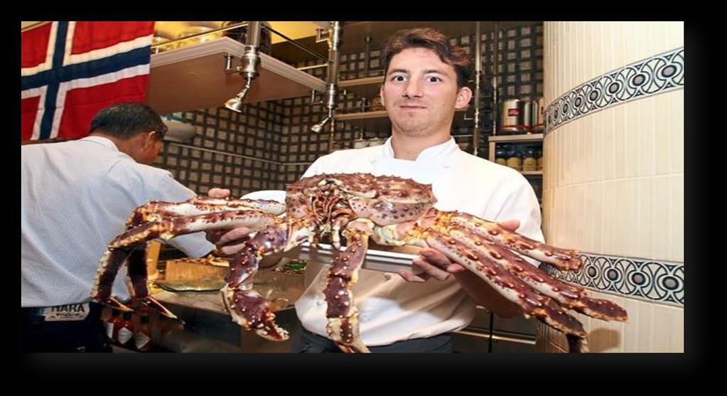 WILD OCEAN CATCH KING CRAB Wild Ocean Catch King Crab was introduced to the North Sea in the 1960 s and is now a