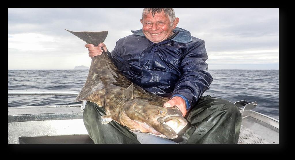 WILD OCEAN CATCH & FARMED HALIBUT Wild Ocean Catch Halibut are fished by experienced local fishermen in