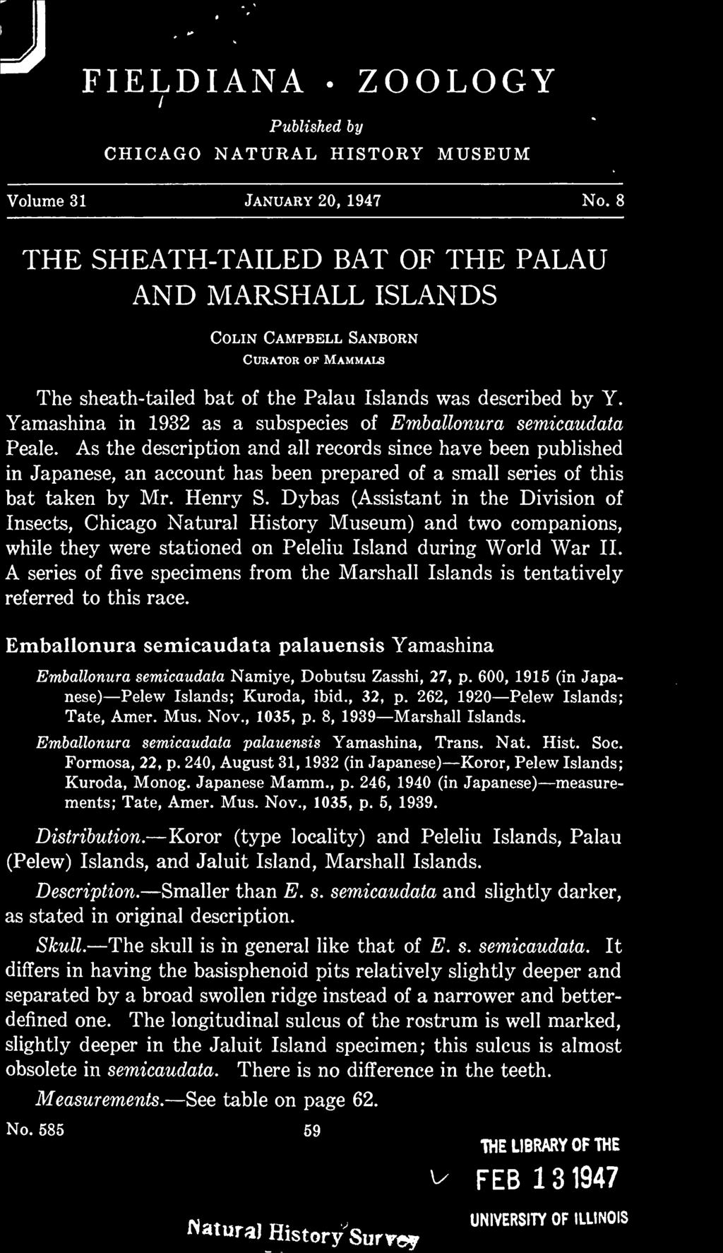 A series of five specimens from the Marshall Islands is tentatively referred to this race. Emballonura semicaudata palauensis Yamashina Emballonura semicaudata Namiye, Dobutsu Zasshi, 27, p.