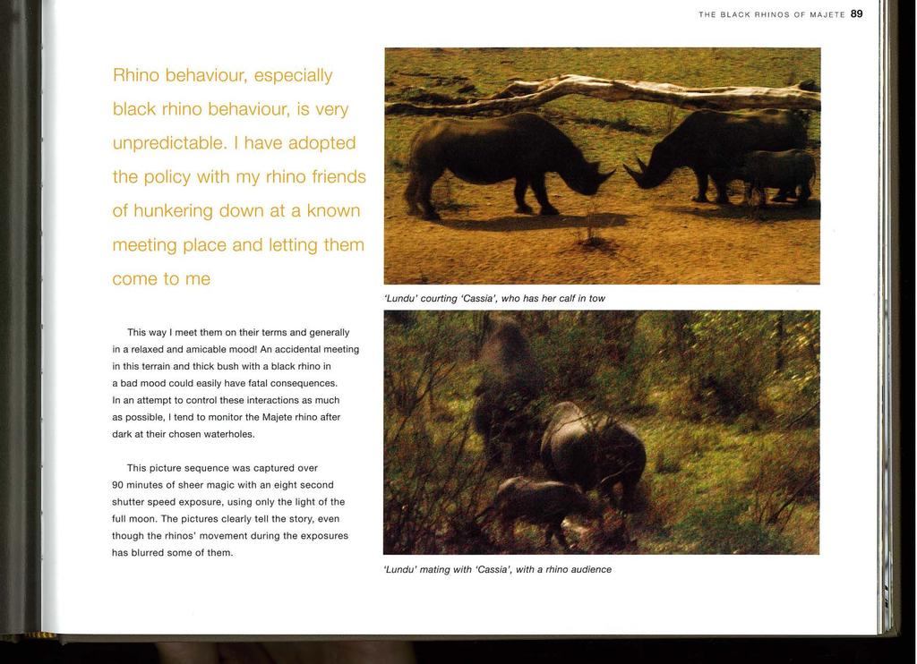 THE BLACK RHINOS OF MAJETE 89 Rhino behaviour, especially black rhino behaviour, is very unpredictable.