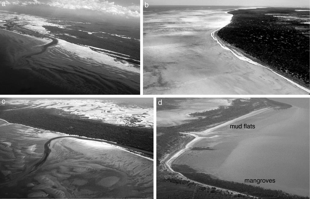 Australian Beach Systems 25 Figure 11. Tide-dominated beaches.