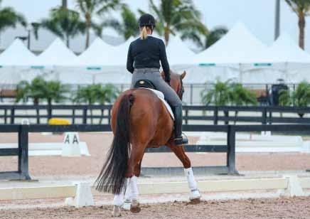 Leg yielding is an exercise that can create suppleness with any horse at all levels and ages. I leg yield down the long side of the arena with my horse s head at a 30-degree angle to the wall.