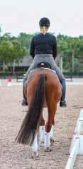 It is important that the horse is between my two legs, because I want to feel that his hind leg lifts and crosses.
