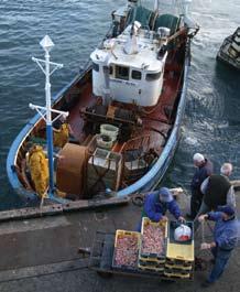 The true costs of IUU fishing are therefore likely to be substantially higher. Environmental cost A key environmental cost is the damage to fish stocks.