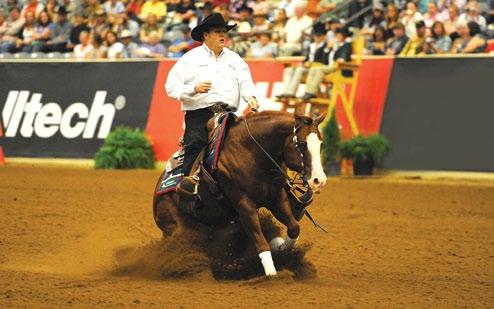 Gold times two McCutcheon is no stranger to WEG competition.