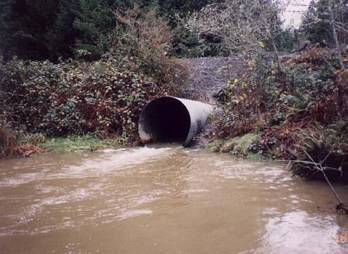Sizing: Undersized, inlet overtops on a about a 10-year storm flow. During our study this culvert failed and was patched together by county road s crew.