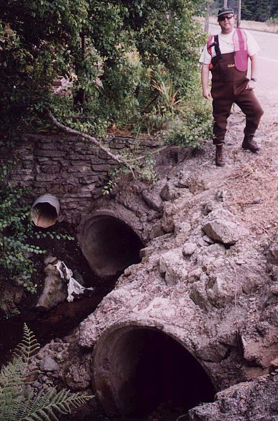 29 Site #24: Washington Gulch; Old Arcata Road Priority Ranking = #52 Location: County Map # 2C51. T6N, R2E, Section 28 Culvert Type: Concrete circular pipes (2). Dimensions: 4.