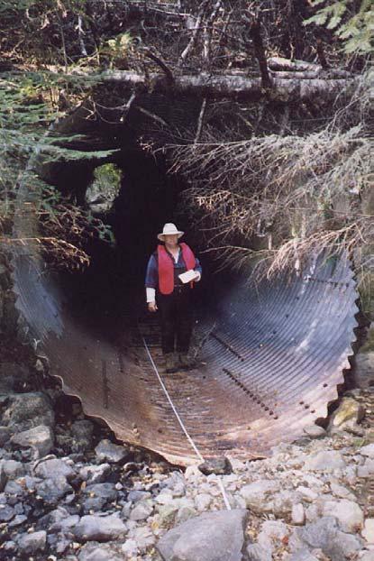 59 Site #50: Tributary to McNutt Gulch #2; Mattole Road Priority Ranking = #34 Location: County Map # 1E. T1S; R2W, Section?? Culvert Type: SSP pipe. Dimensions: 11.0 Length: 155.0 Slope: Overall, 5.
