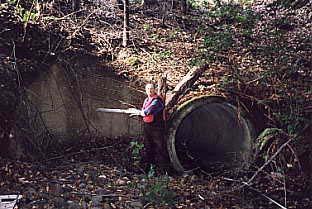 64 Site #54: Titus Creek; Lighthouse Road Priority Ranking = #46 Location: County Map # 1E. T2S; R2W, Section 9 Culvert Type: Concrete pipe. Dimensions: 4.0 diameter Length: 96.0 Slope: 7.0%.