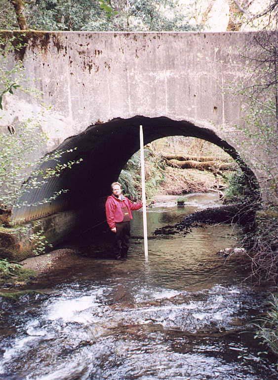 80 Site #67: Baker Creek; Whitethorn Road Priority Ranking = #43 Location: County Map # 2E. T5S; R2E, Section?? Culvert Type: SSP pipe arch on concrete footers with natural channel bottom.