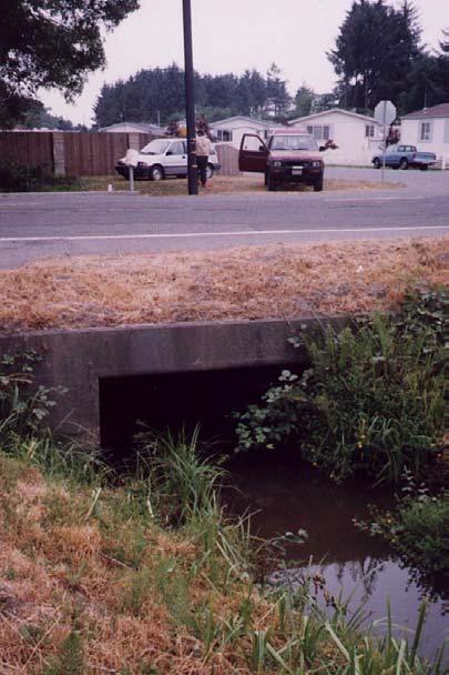 9 Site #7: Widow White Creek #3; Central Avenue Priority Ranking = #39 Location: County Map # 1C44. T7N, R1E, Section 32 Culvert Type: Concrete box. Dimensions: 8 W x 3 H Length: 44 Slope: 0.