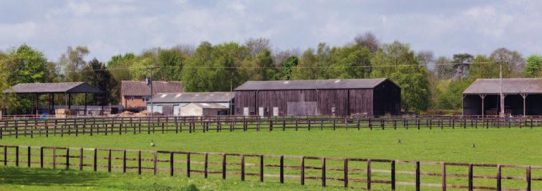LOT 3: 1 and 2 Brinkley Stud Cottages, 4 bay Dutch Barn and 4½ acre paddock. In all around 5 acres 1 and 2 Brinkley Stud Cottages, 4 bay Dutch Barn and 4½ acre paddock.
