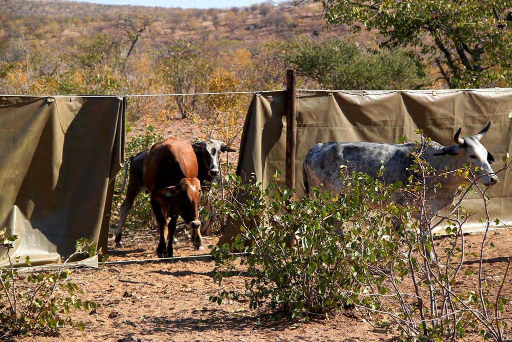 Mobile Stock-Kraal Canvas Barriers Living alongside wildlife, especially so-called conflict species, such as carnivores, elephant, hippo and crocodile, is challenging, and the high cost of erecting