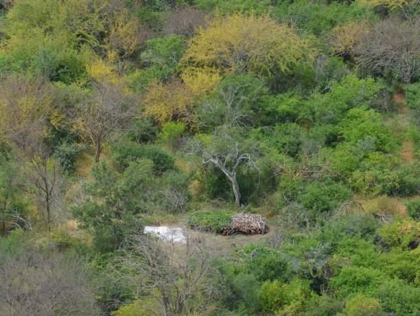 JANUARY 2014 MONTHLY FLYING SYNOPSIS While aerial flights in the Northern Area around Ithumba consisted of regular patrols with little poaching activity seen, there were a number of logging