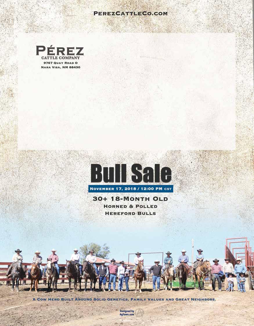 18 Pérez Cattle Company