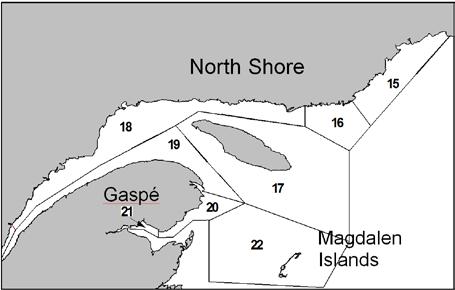 The lobster fishery at Anticosti Island is practised by 13 fishermen from the Middle North Shore, Gaspé Peninsula and Magdalen Islands.
