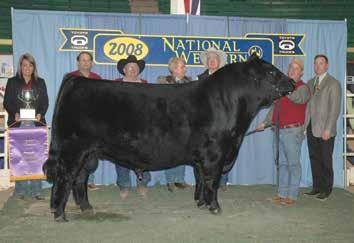 06 78 ADJ ADJ CONSIGNED BY: LAWRENCE FAMILY LIMOUSIN, ANTON, TX Selling six embryos sired by the bull of the buyer s choice Guarantee six embryos with any over six being divided equally between the