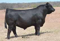 and Milam Cattle Co. are genetics from one of their very best donor cows, EBFL San Jose Proj 9 1.8 57 10 2 0. 11 1-0.07 0.7 0.0 58 170X.