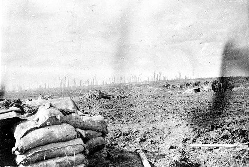 Black Wood, just outside Albert. This photos below show the remains of High Wood not long afterwards and the memorial to the 47 th Division in 1919.