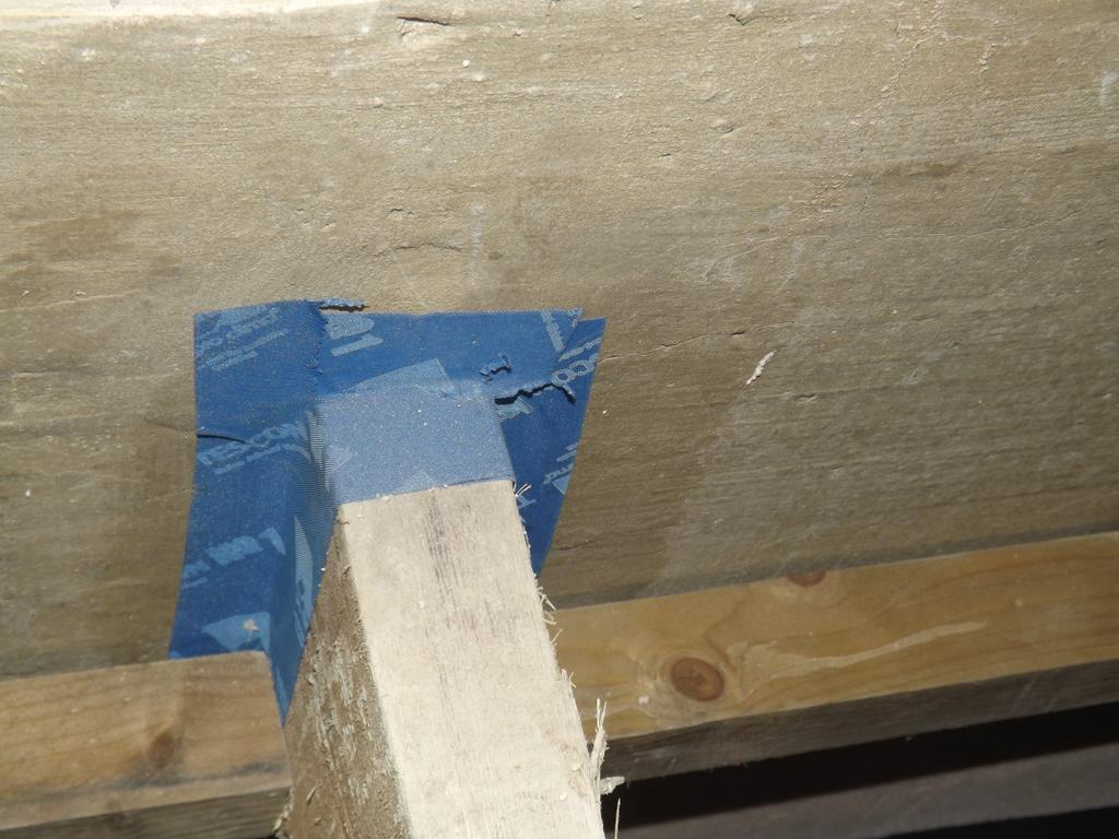 around end of floor joist into wall P17)