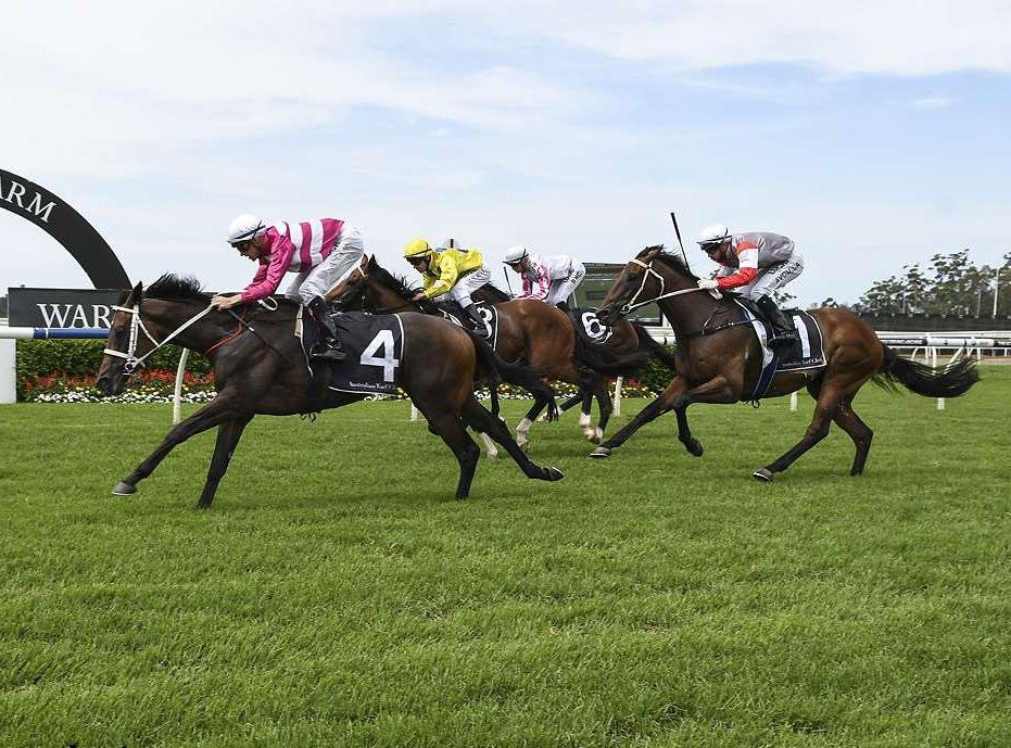 Across the ditch back in New Zealand it was great to see former Chris Waller Racing scholarship winner Alysha Collett score her first win at Group One level in the Zabeel Classic at Ellerslie on