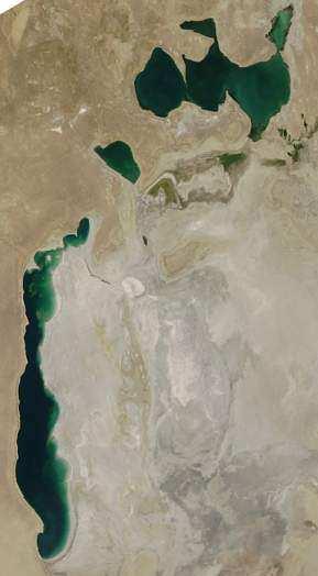 Since 1960 the Aral Sea has steadily shrunk and shallowed owing overwhelmingly to