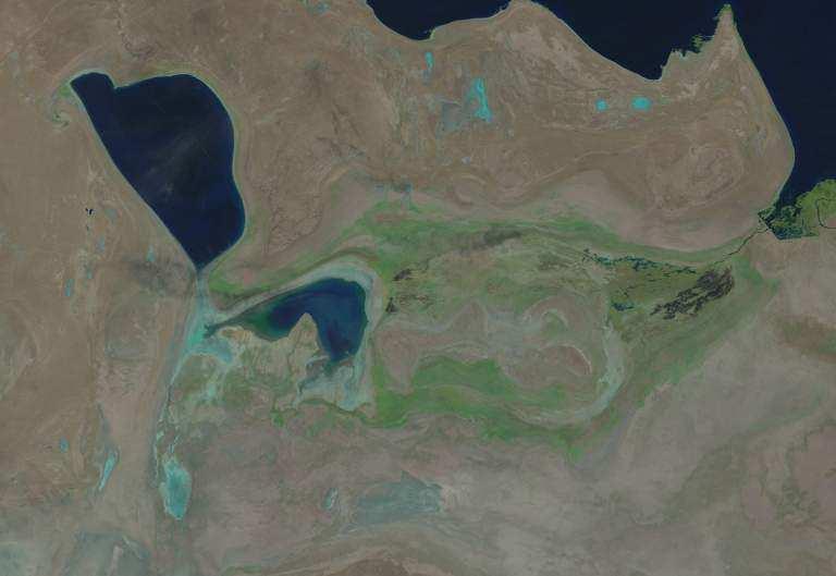 Tsche-Bas Bay Western part of Central Aral (area = 129 km 2 ) Approximate boundary of the Central Aral Central Aral, 3.10.2015. Light green color - wet soil, shallow water and xerophytic vegetation.