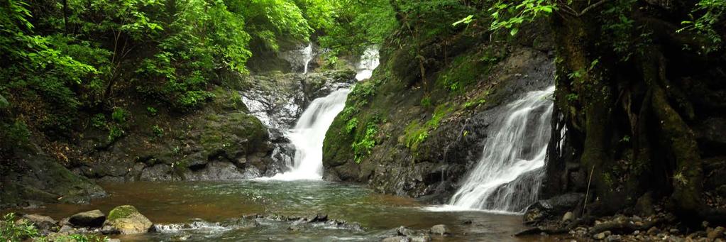 Waterfall and Wildlife Adventure Hike 6 Duration: Half Day Includes: Transportation, equipment, bilingual guide & refreshment.