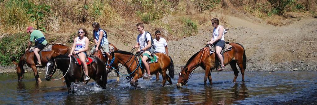 Horseback Ride Tour 7 Duration: Half Day Includes: Transportation, bilingual guide water and fruits. Difficulty Level: Medium What to bring: Hiking shoes, camera, sun hat.