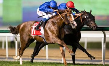 Hawkbill beating Frontiersman in the Dubai City Of Gold Photo: A Watkins / Meydan HAWKBILL, winner of the 2016 Eclipse Stakes, is probably best over 1 ¼ miles (2000 metres), but he handled the Sheema