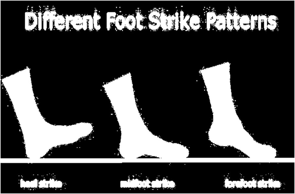 Key Terms The foot strike pattern continuum Habitual/Non-habitual foot strike pattern http://www.