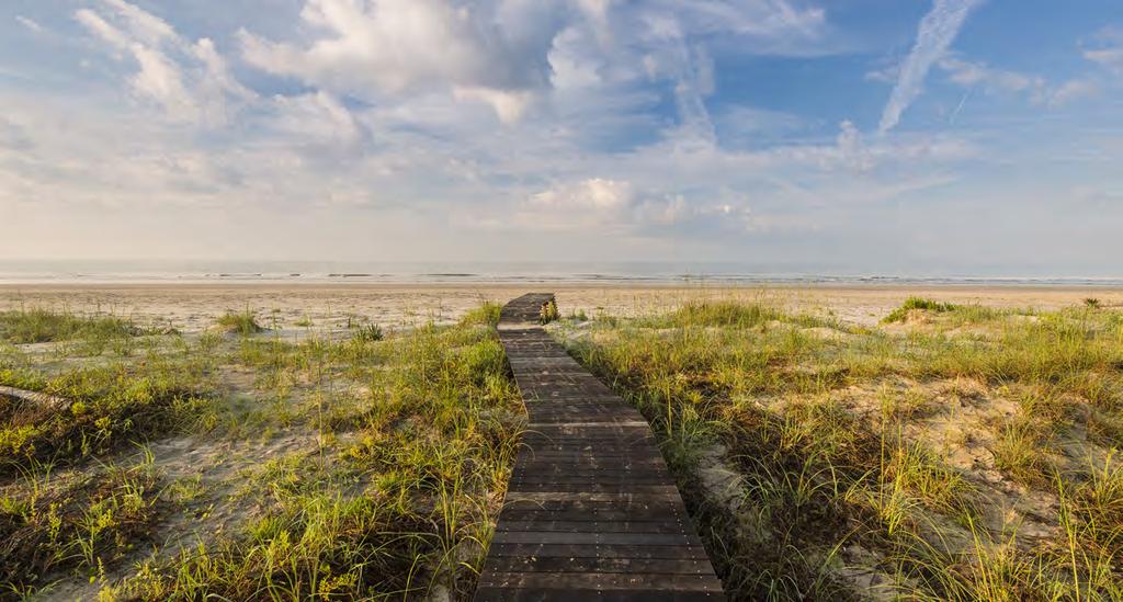 The Official Publication of the Kiawah Island Community Association March 2019 D I G E S T BOARD OF DIRECTORS Board of Directors Puts Forth Draft Conveyance Policy Owning and maintaining
