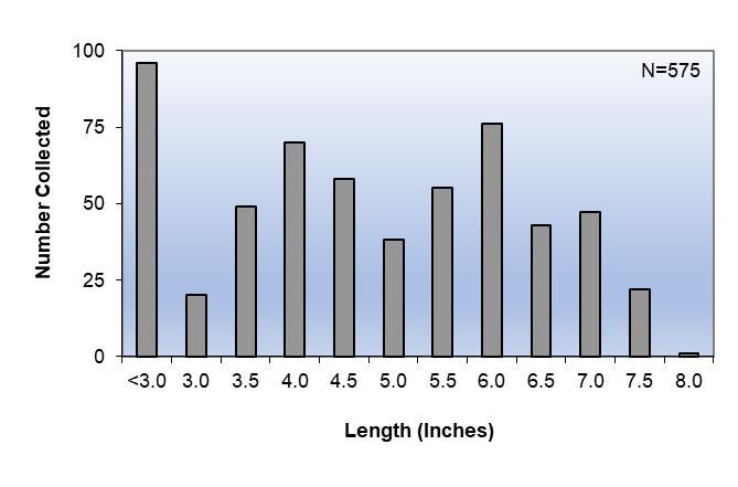 Length frequency