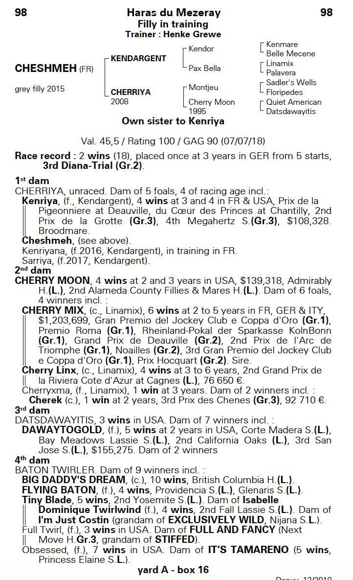 CHESHMEH 3yo filly - racing/breeding prospect - rated 100