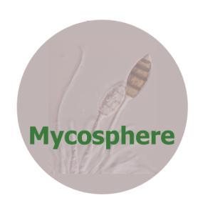 Mycosphere 4 (5): 930 935 (2013) ISSN 2077 7019 www.mycosphere.org Article Mycosphere Copyright 2013 Online Edition Doi 10.