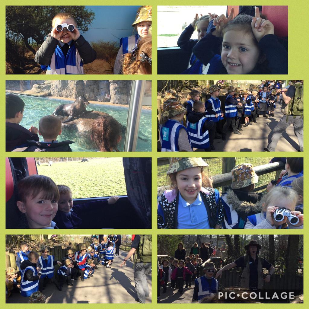 Knowsley Safari Park On Wednesday, Year 1 enjoyed a sunny day out at Knowsley Safari Park as part of their topic Rumble in the Jungle.