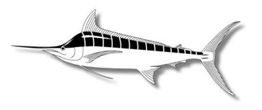 1. Introduction Blue marlin inhabit certain preferred habitats in the open ocean. The preference of this species for particular habitats may impact its distribution and vulnerability to being caught.