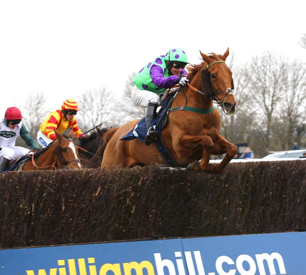 'Matthew Riley' got the ball rolling at Newcastle with a determined display in the novice hurdle.