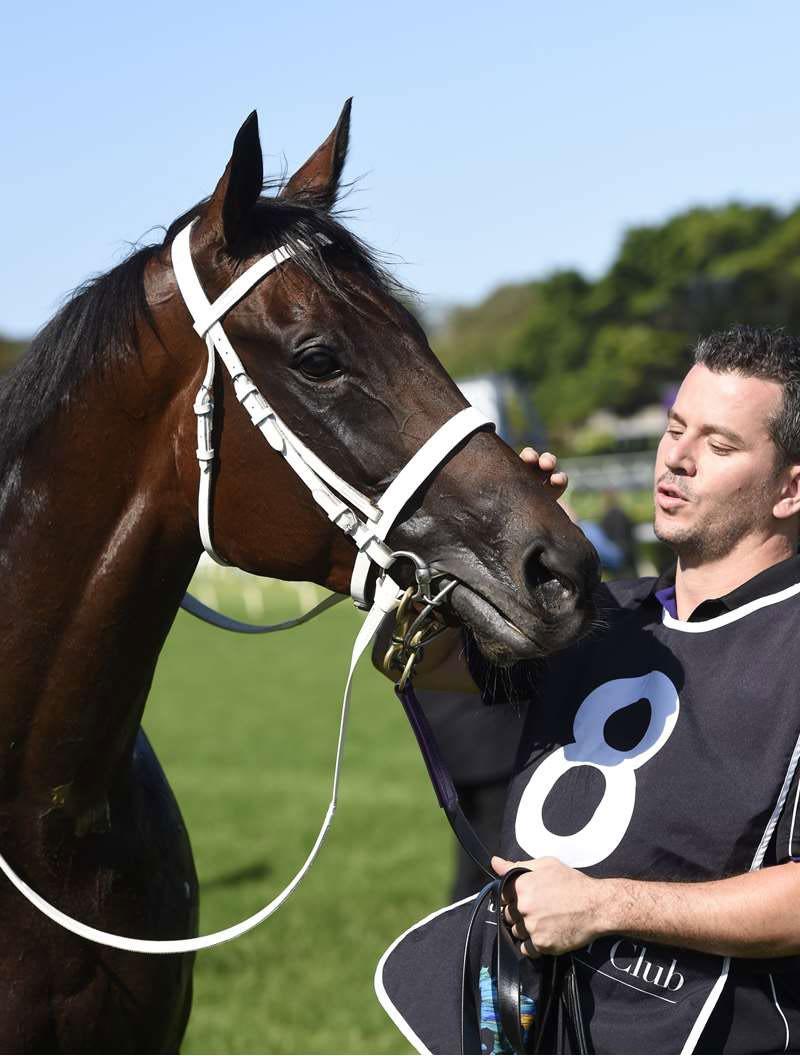 Winx can help stable close in on Bart Cummings record Winx, the nation s best and most popular racehorse, can propel Chris Waller towards one of the most coveted and enduring training records in