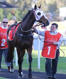 Mastered the Cup Day 3 of this year s famous Warrnambool May Carnival was a day to remember. Saddling up three good chances, we scored our third Warrnambool Cup win in a row with Master of Arts.