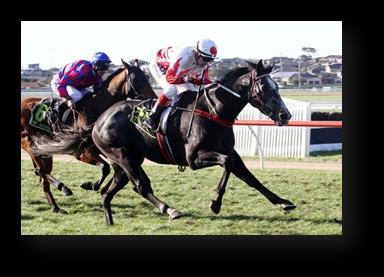 Stable star Prince of Penzance put in a huge run at his return in the Group 3 RA Lee Stakes at Morphettville.