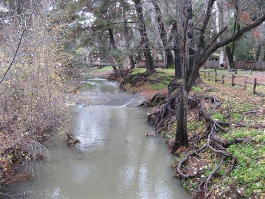 This update contains photographs of the creek, before the work and after.