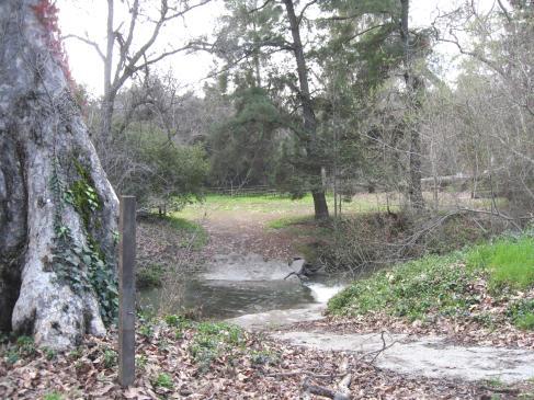 he creek restoration, photo right, T removed the low flow