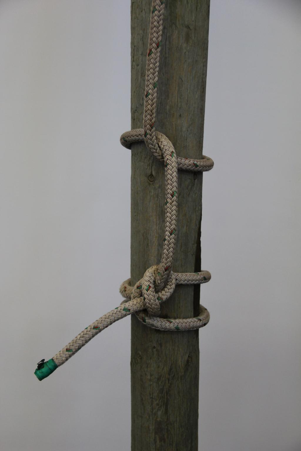 Half hitch / Marline hitch: both of these hitches are used in tree work to back up other knots for additional security and, in some instances, even strength.