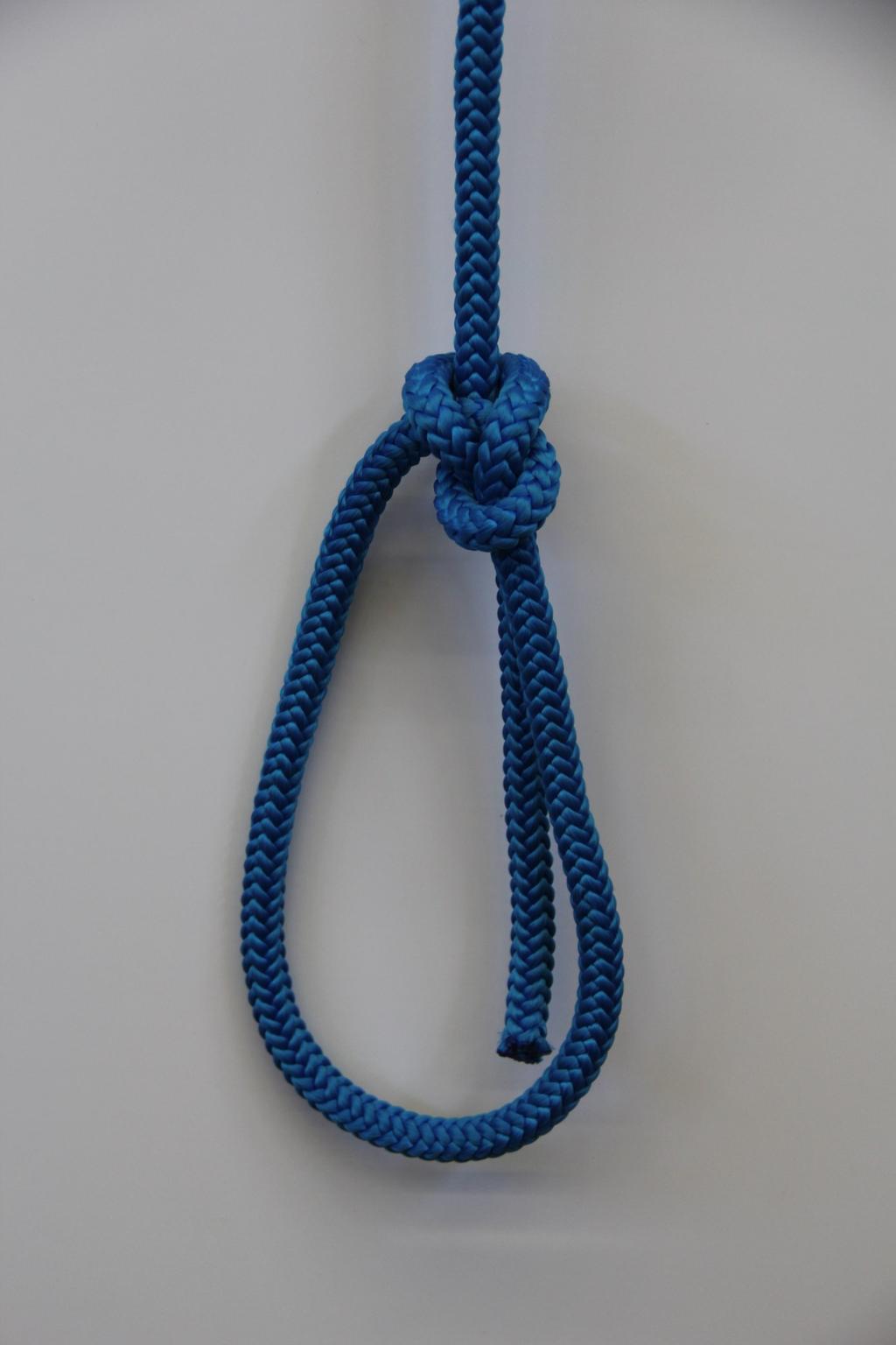 Bowline: useful knot for forming a loop. Easy to untie, even after loading.