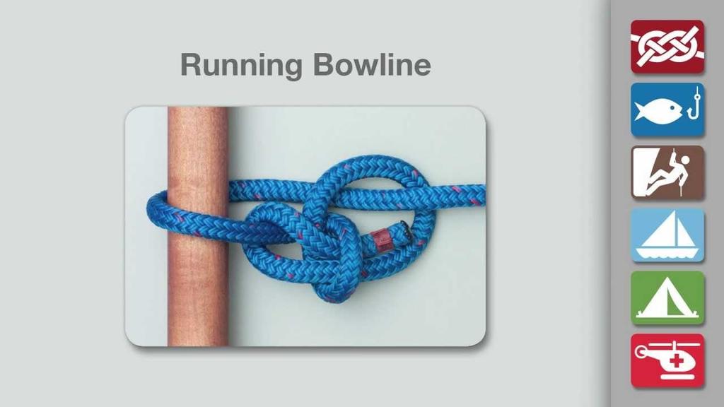 Running Bowline: often used in tying off limbs.