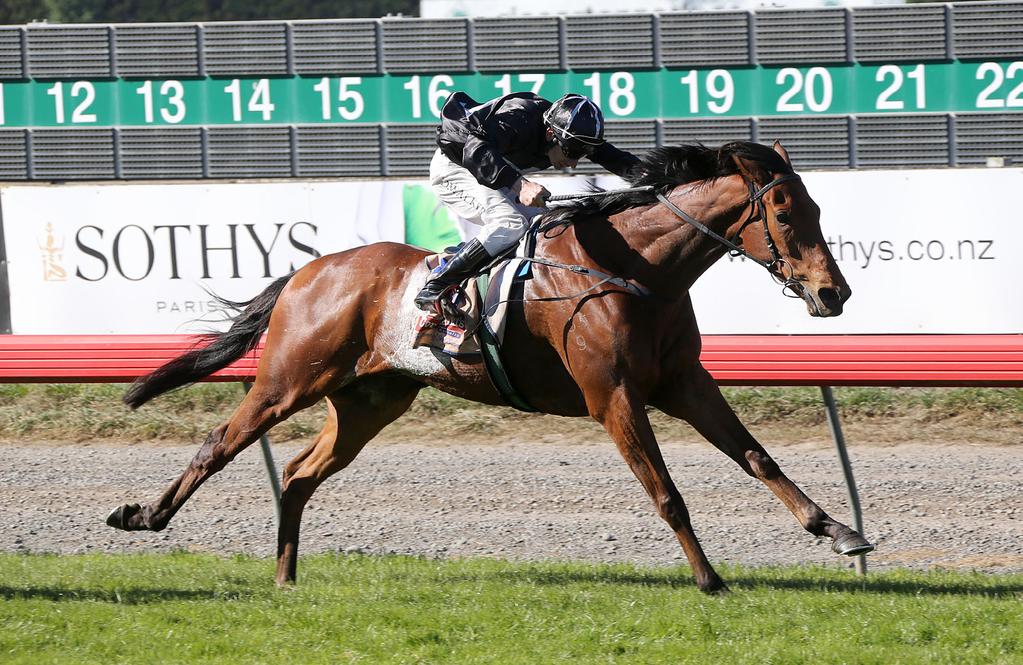 Since returning to New Zealand July 2013, Scapolo has raced 10 times for 7 wins with his best performance coming when winning last year s Group 2 Coupland s Bakeries Mile at Riccarton.