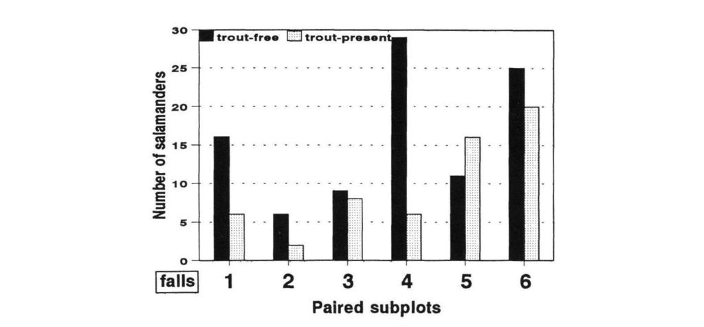 the terrestrial to aquatic gradient (personal observation). Numbers above bars are the actual numbers for each species (n = 96 for trout-free plot; n = 58 for trout-present plot).