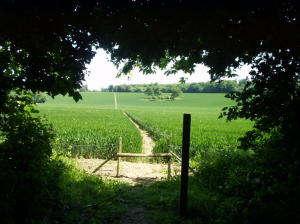 In this field, head to the left of the farm buildings by the church, where you will emerge onto a small road.